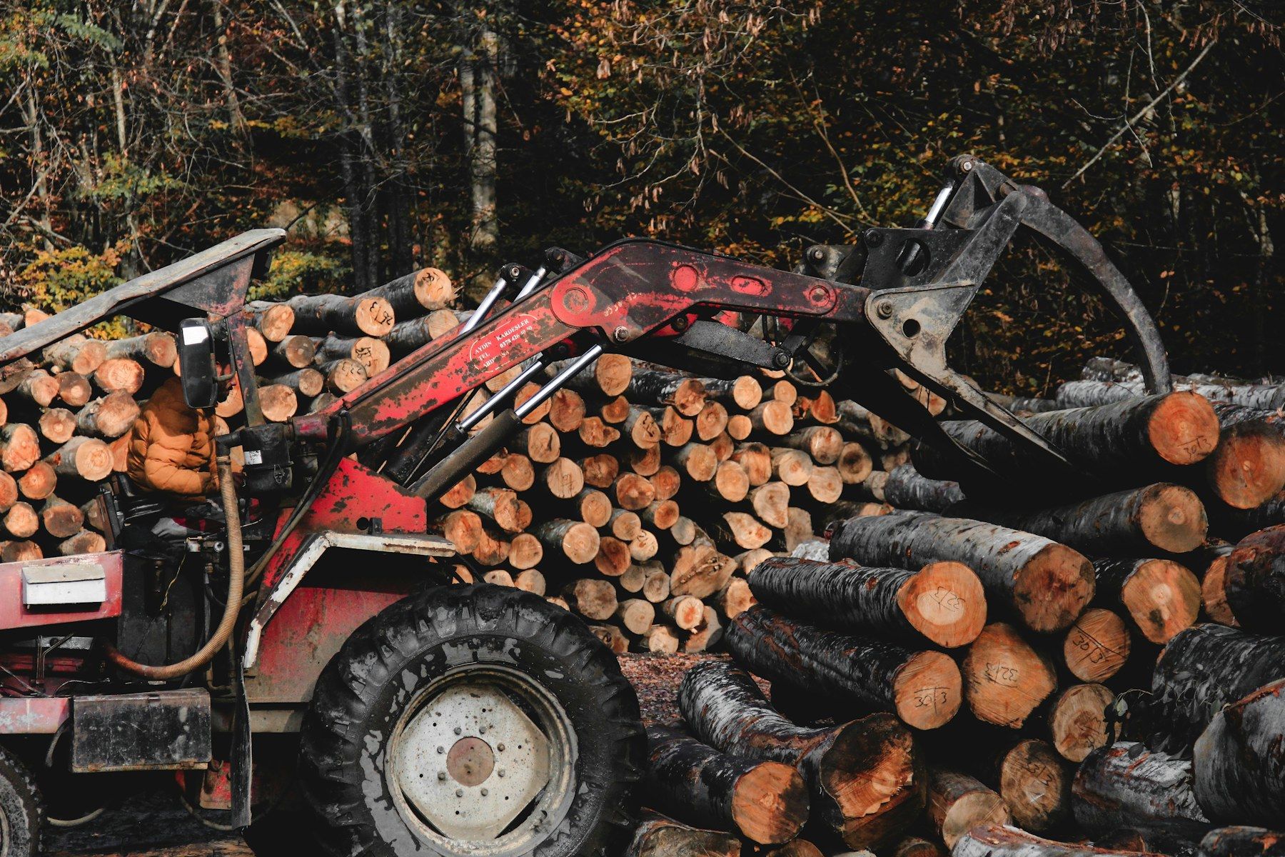 Cut logs stacked beside forestry machinery